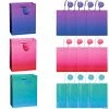Cheapest 💯 7 1/4" x 3 1/2" x 9" Medium Ombre Paper Gift Bags with Tags - 12 Pc. 👏 -Cheap Birthday Party Favors Store 7 1 4 x 3 1 2 x 9 medium ombre paper gift bags with tags 12 pc 14151690